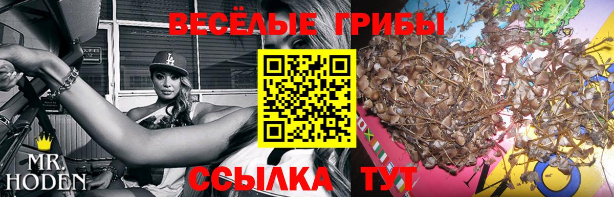 ЭКСТАЗИ  Гашиш  Рузаевка  Вход с VPN  Меф кристаллы  Канабис 