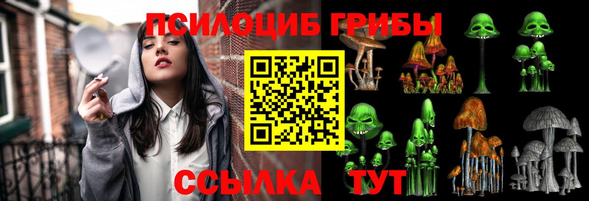 как найти наркотики  Галлюциногенные грибы прущие грибы  Псилоцибиновые грибы мухоморы  Вход с VPN  Рузаевка 