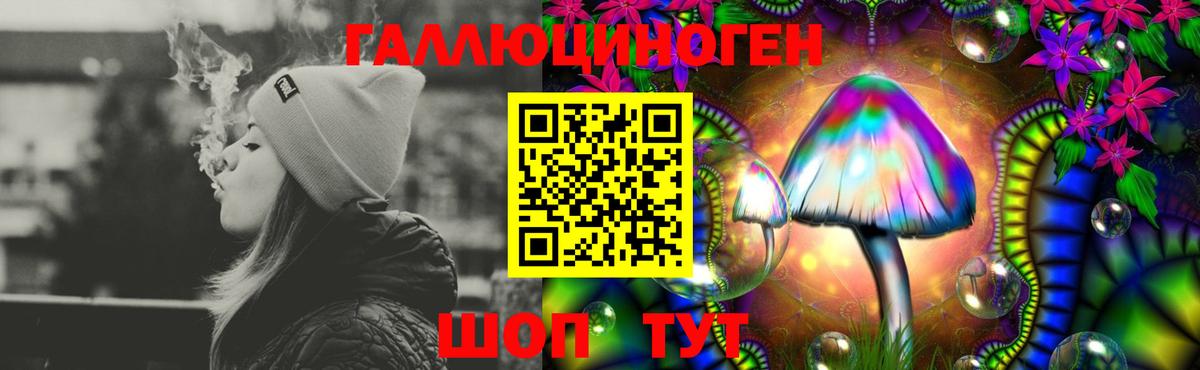 Псилоцибиновые грибы Cubensis Рузаевка